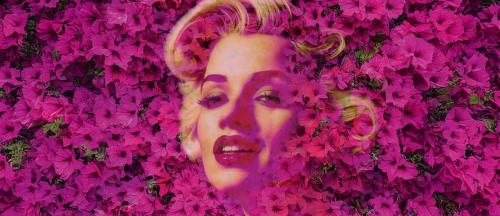 Festival des jardins